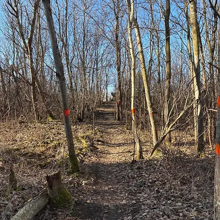 דירה Juros Namai